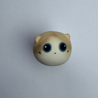 Mini Ragdoll（Chloe）