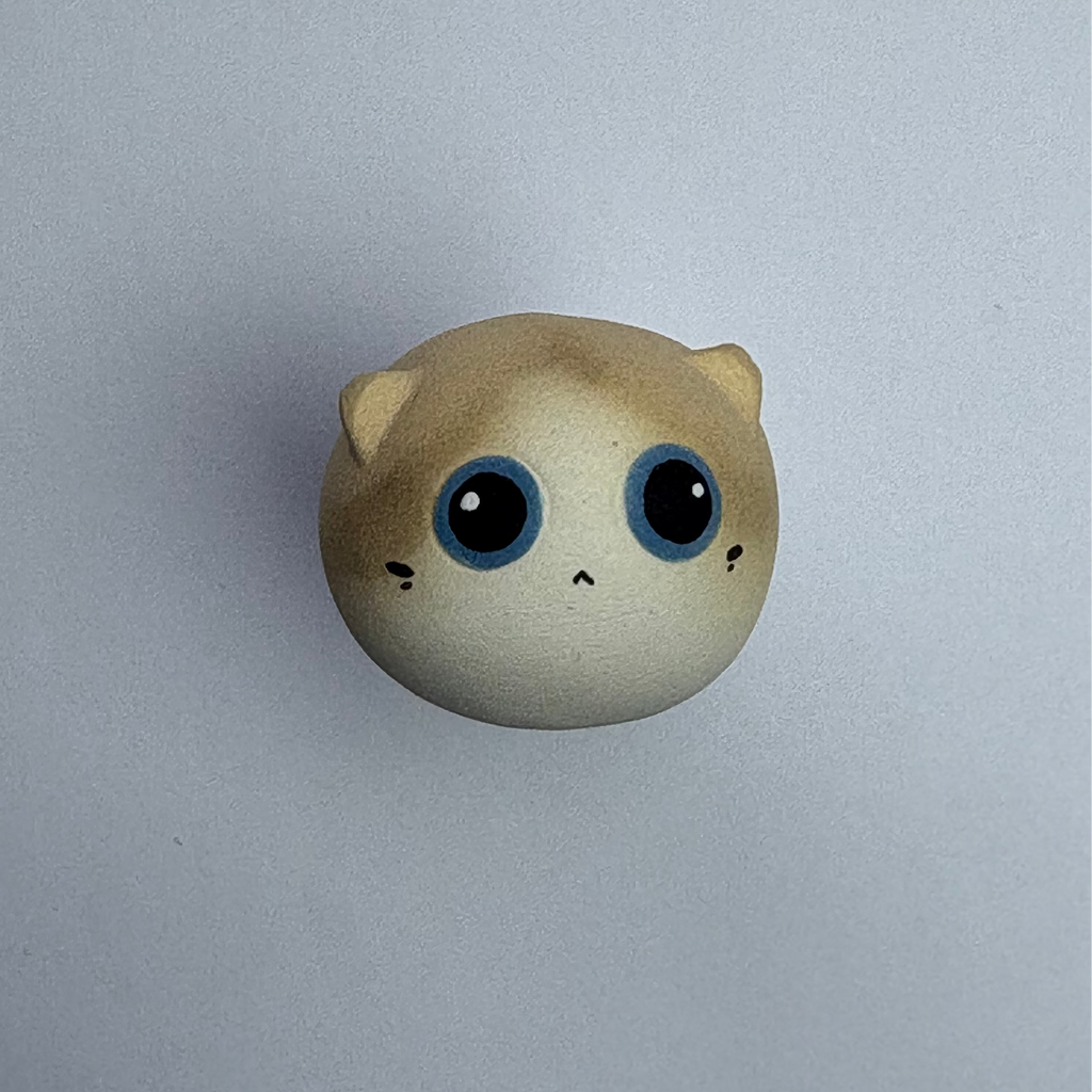 Small Ragdoll