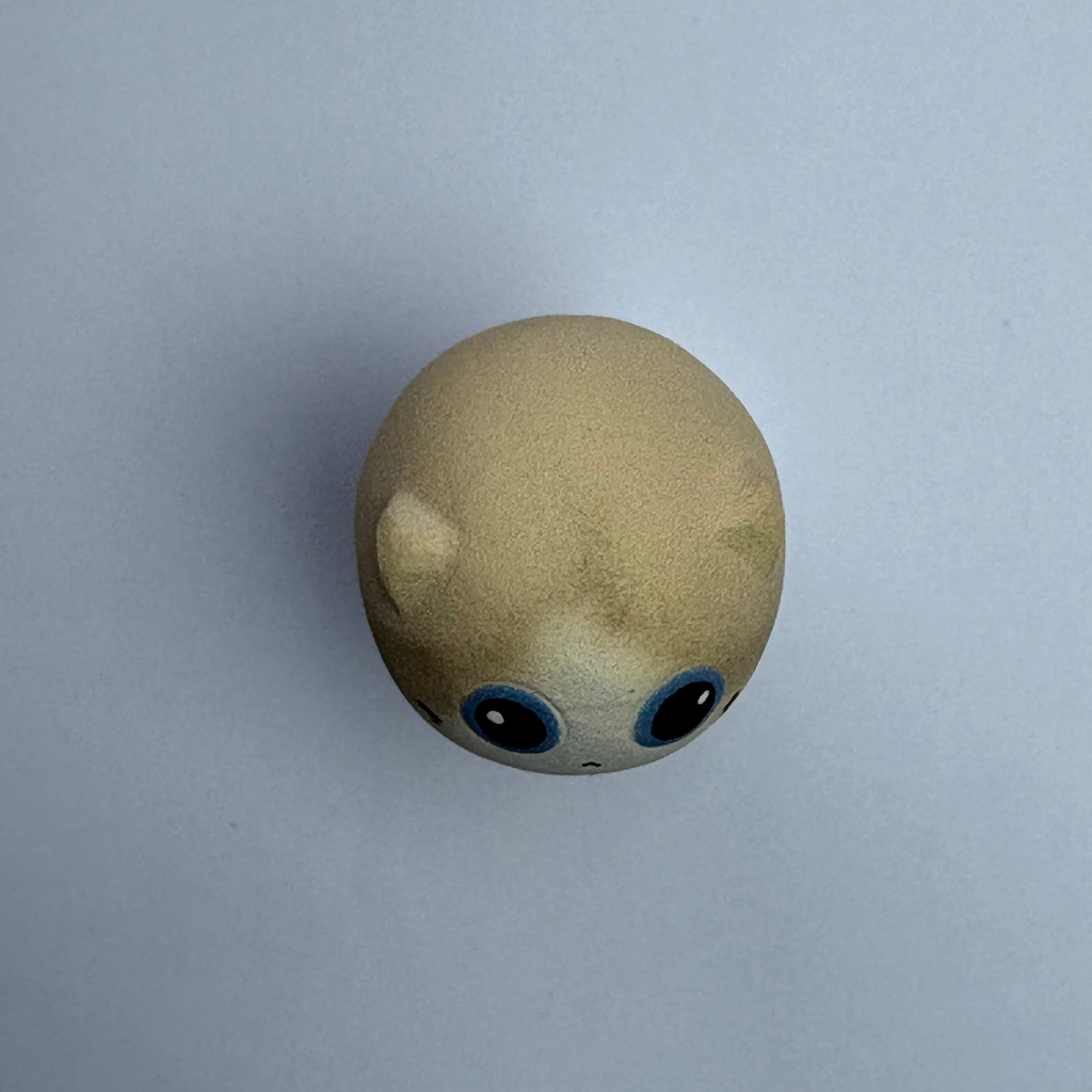 Mini Ragdoll（Chloe）