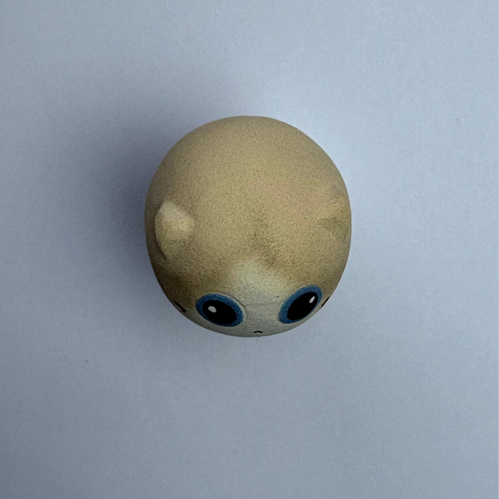 Small Ragdoll