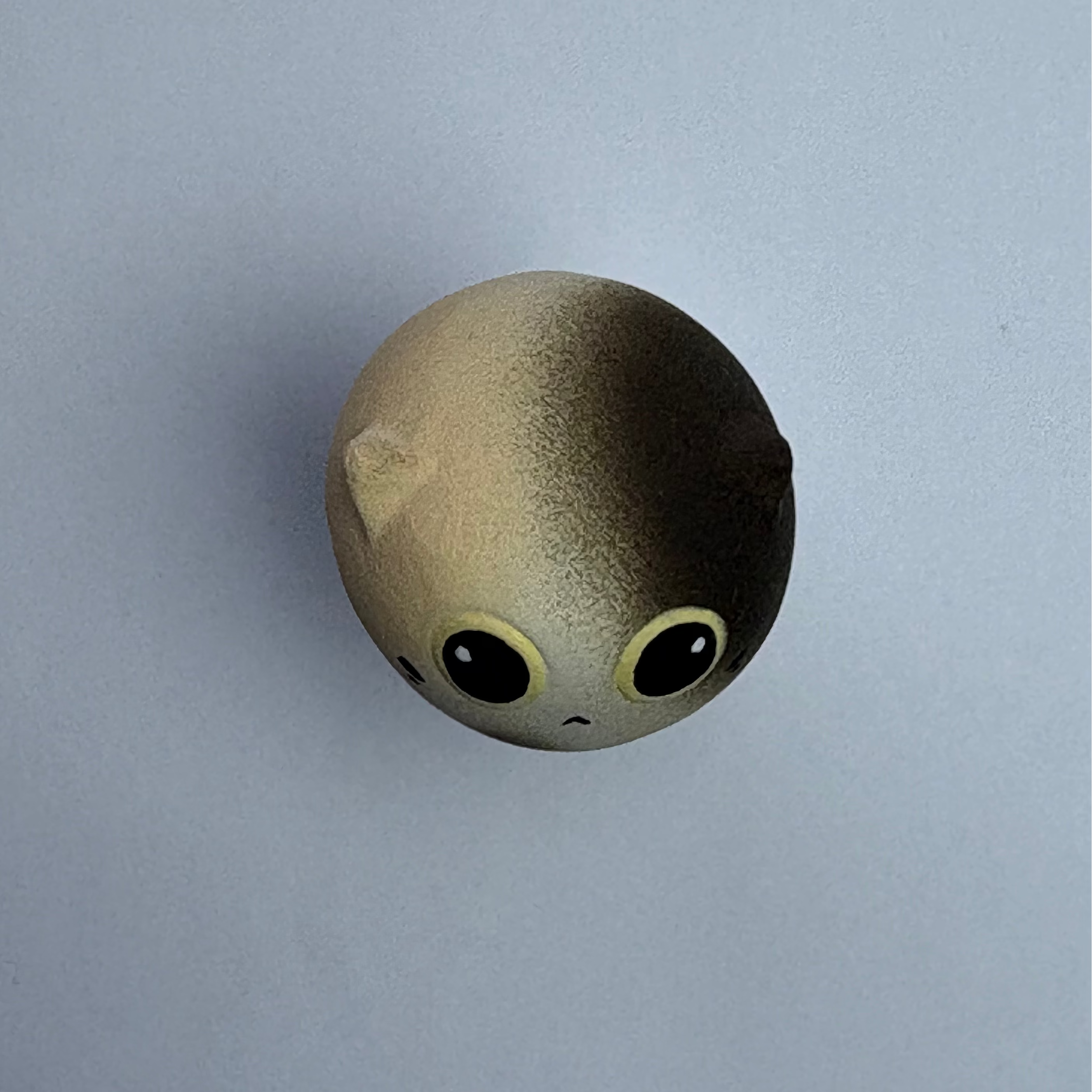 Mini Calico Cat（Bella）