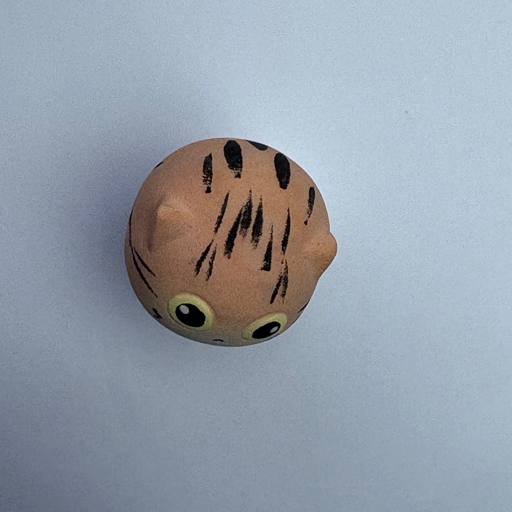 Mini Tabby（Lily）