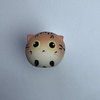 Mini Tabby（Lily）