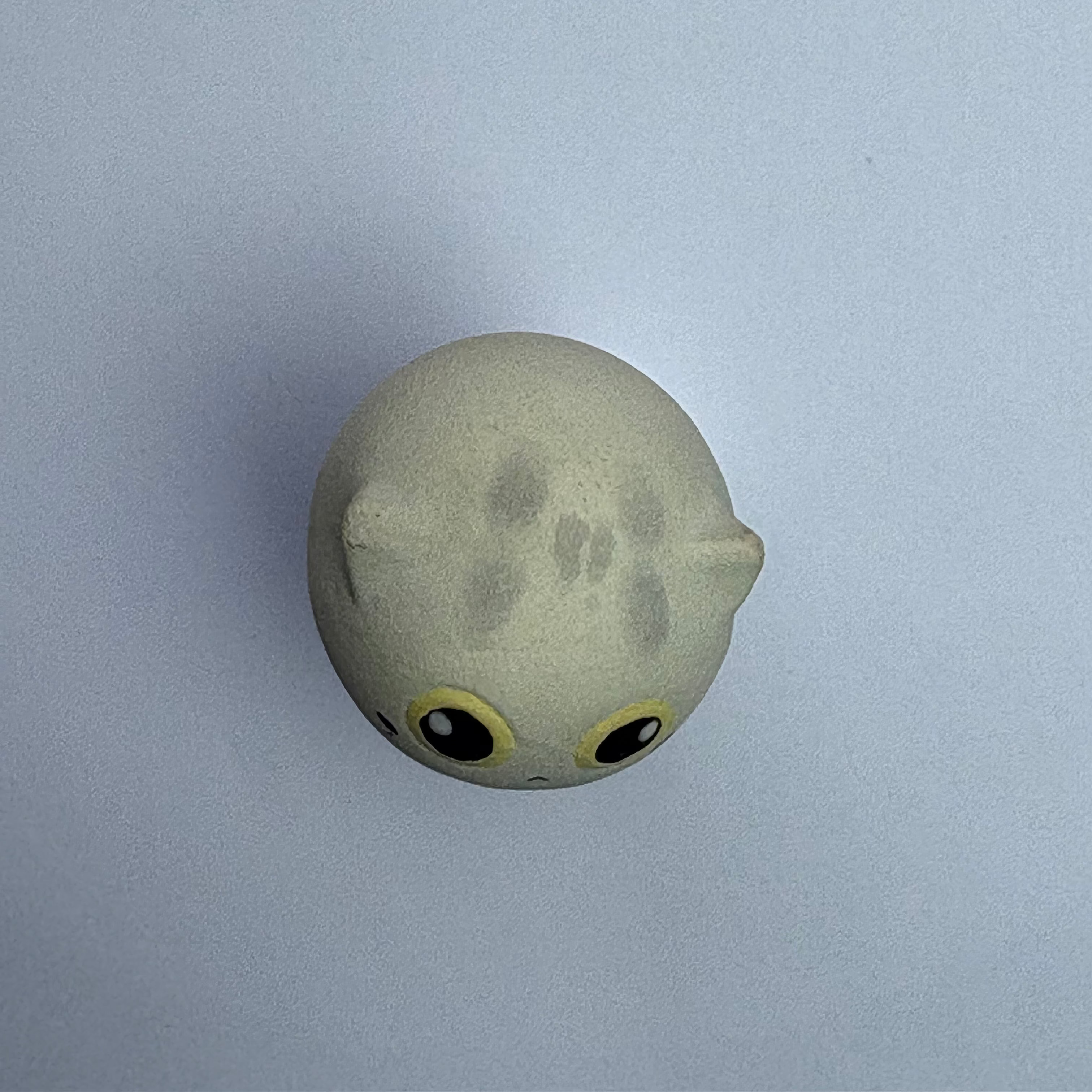 Mini Silver Shaded Cat（Storm）