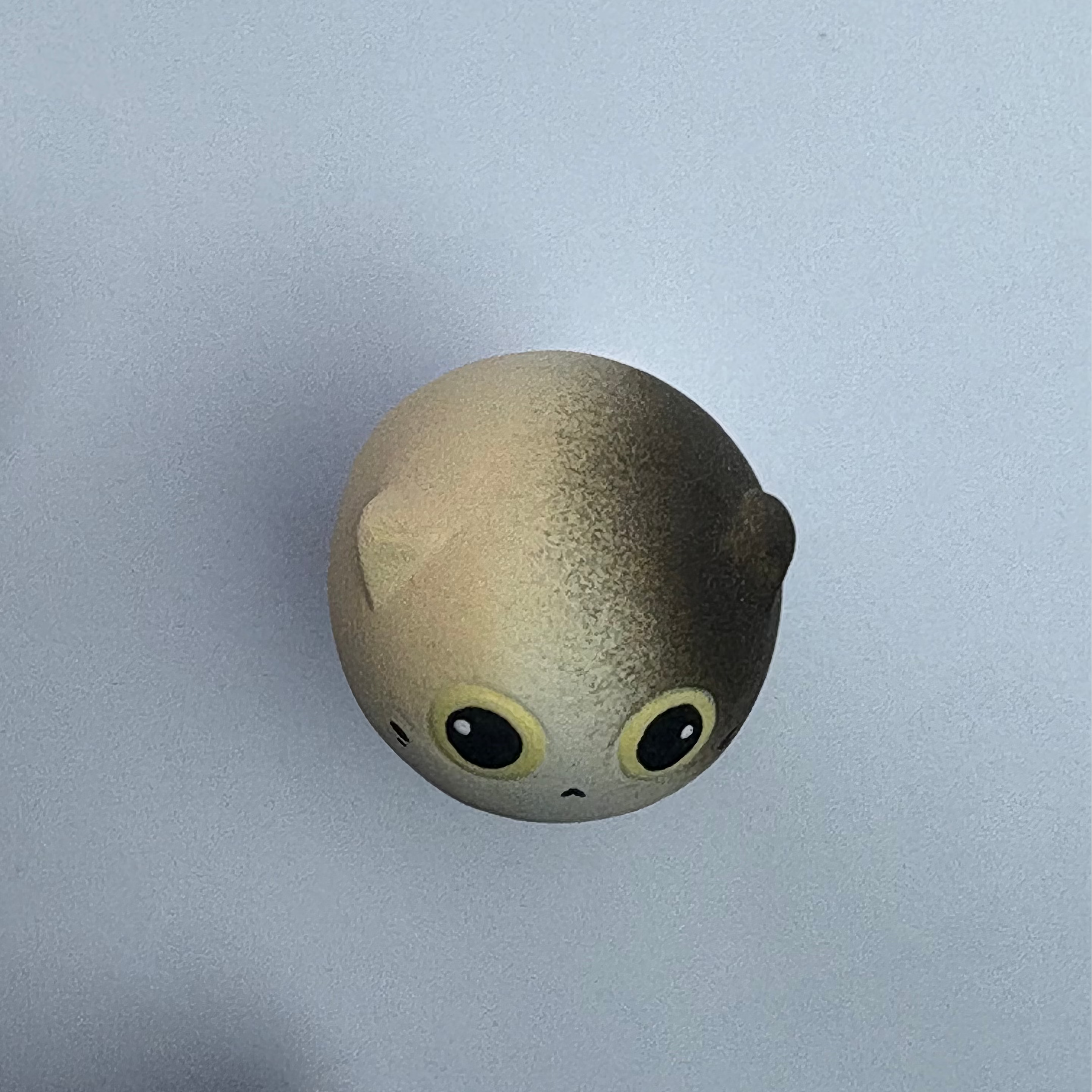 Mini Calico Cat（Luna）