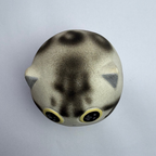 Medium Silver Bengal Cat