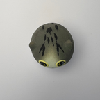 Small Cheese Cat（Sunny）