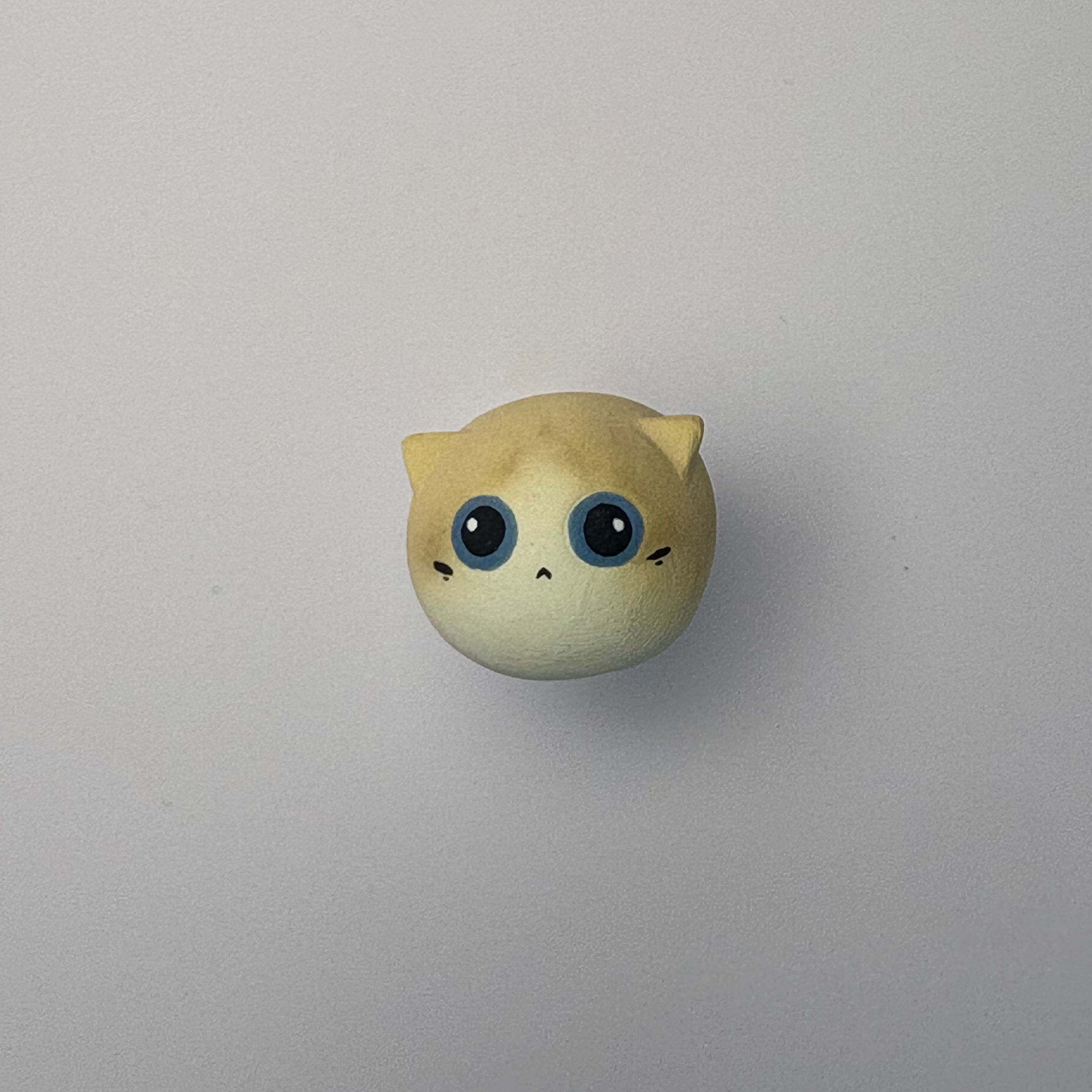 Mini Ragdoll（Mia）