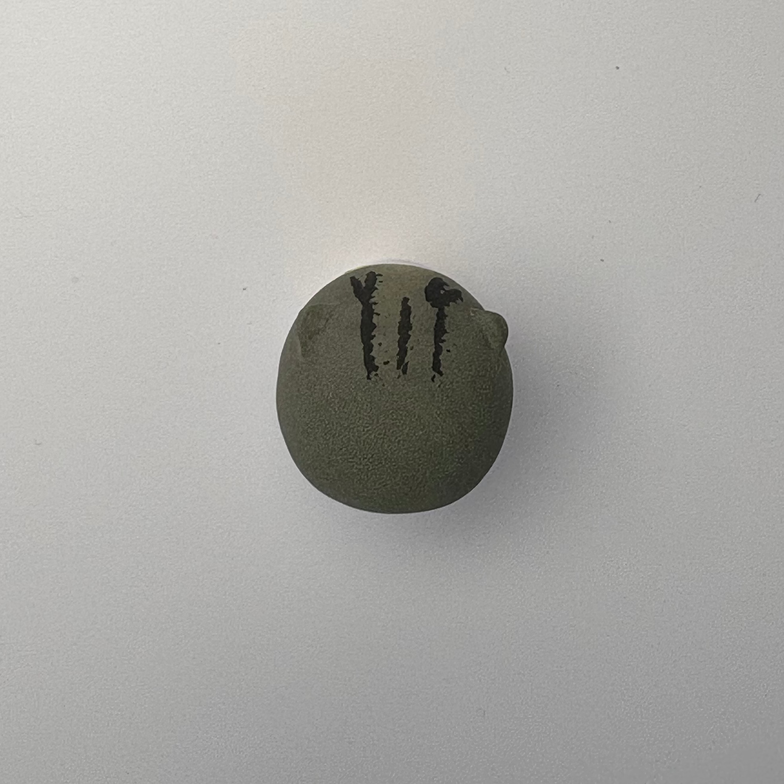 Mini Cheese Cat(Oliver）