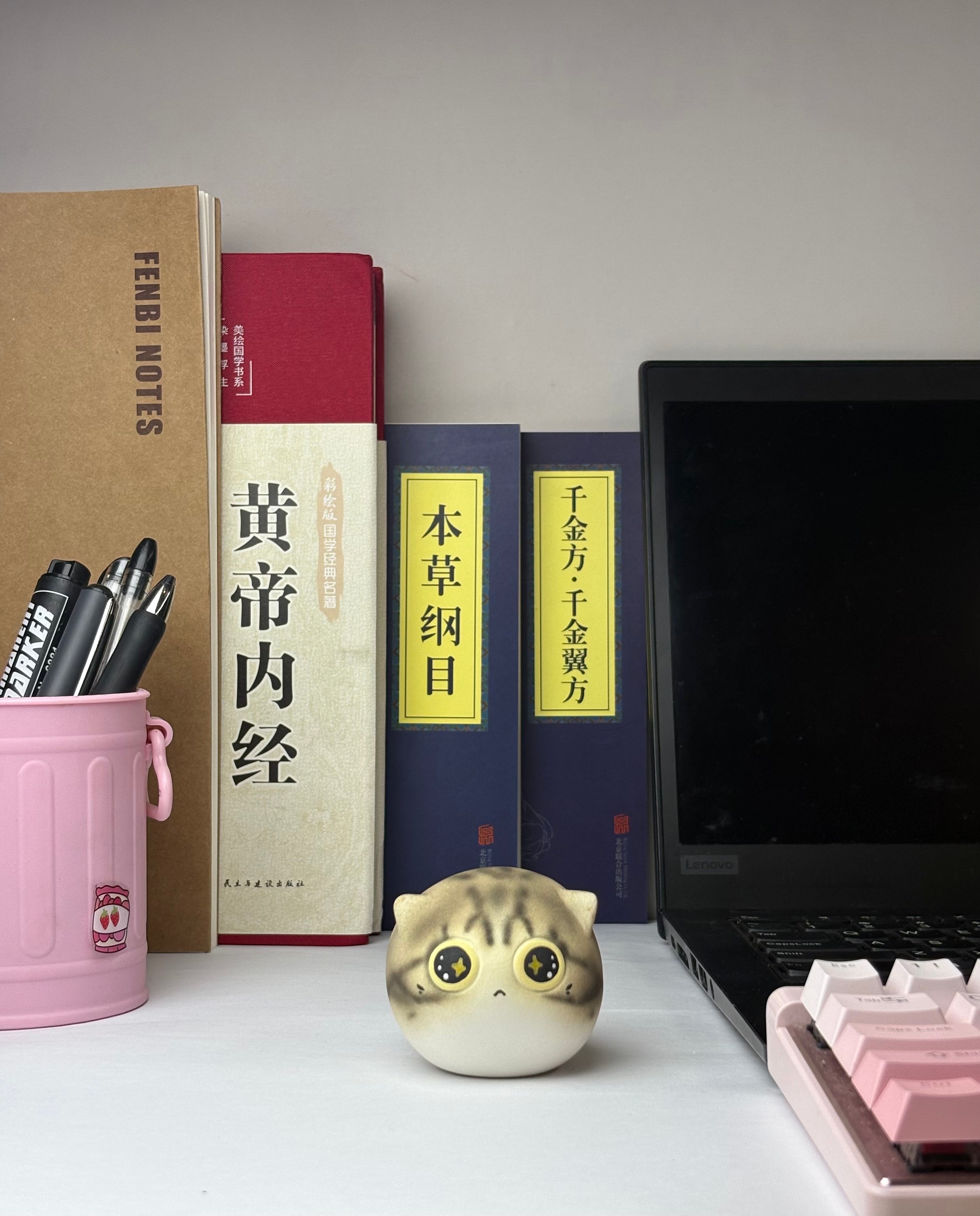 Medium Jianzhou Cat Cat