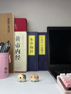 Mini Tabby（Lily）