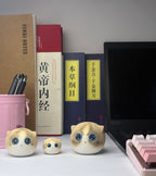 Mini Ragdoll（Chloe）