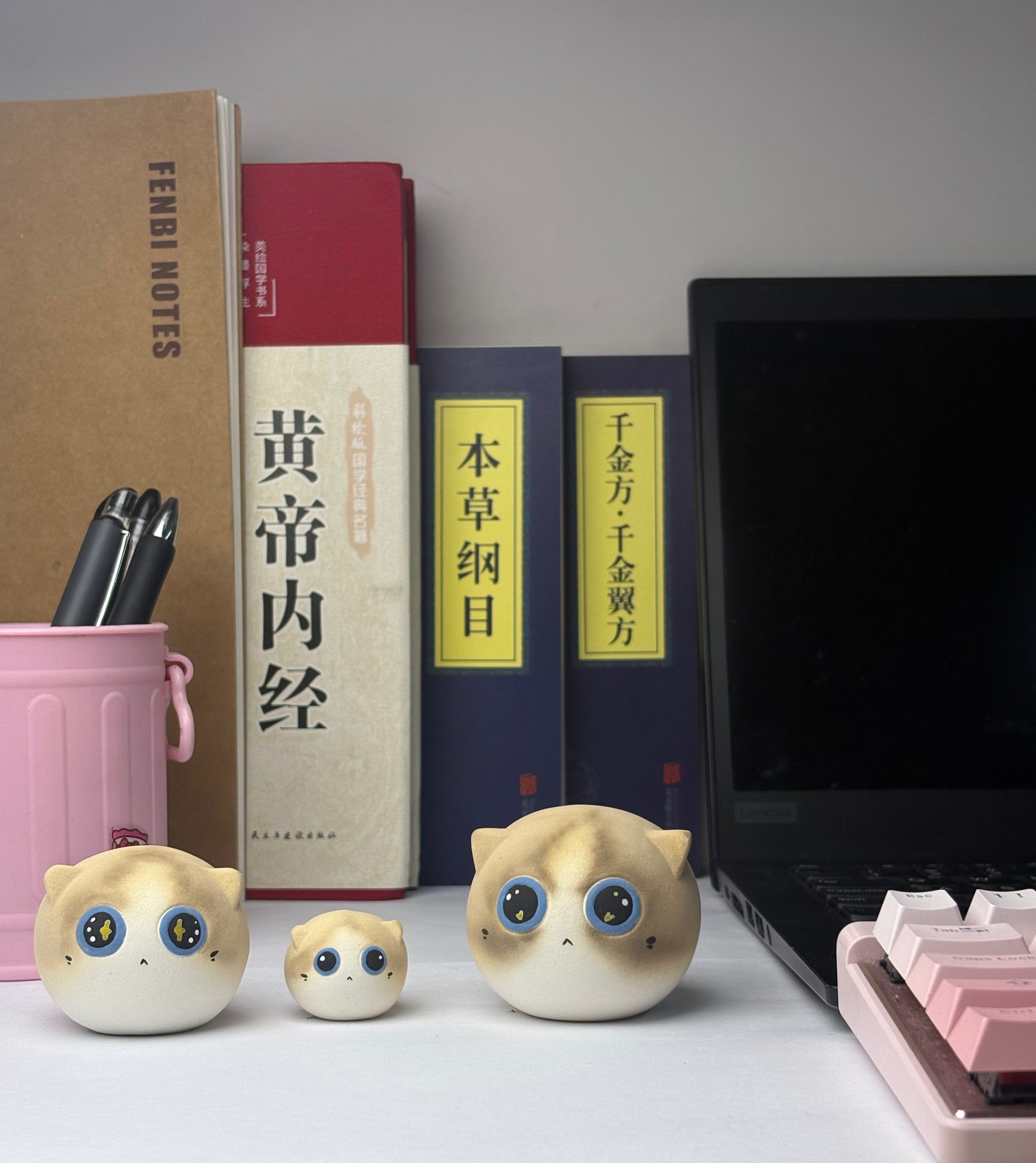 Mini Ragdoll（Chloe）