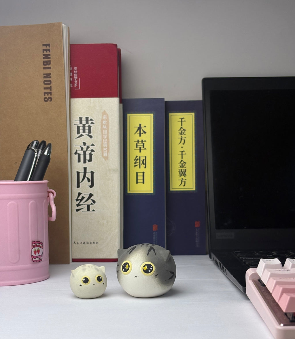 Mini Silver Shaded Cat（Storm）