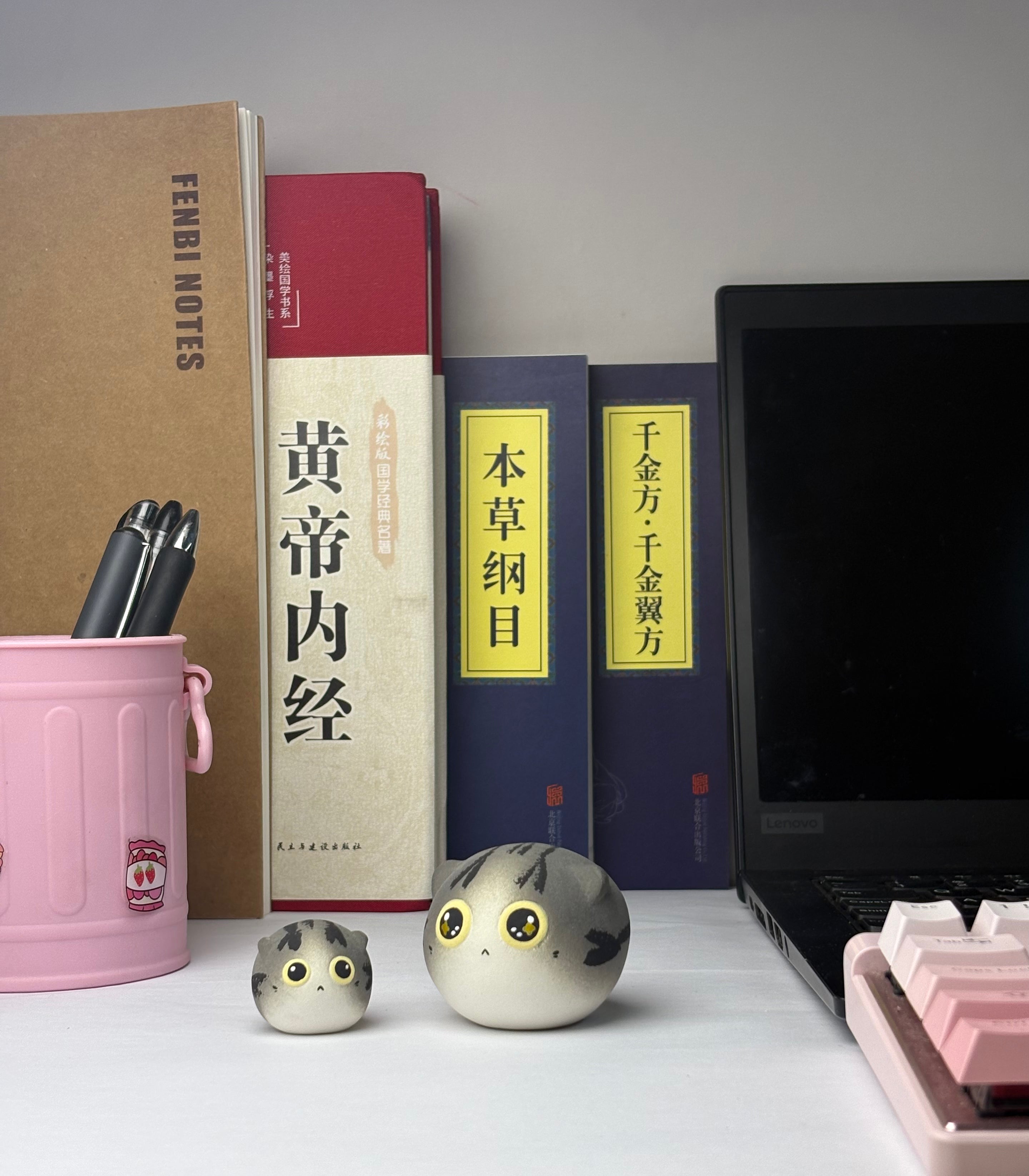 Mini Ragdoll（Mia）