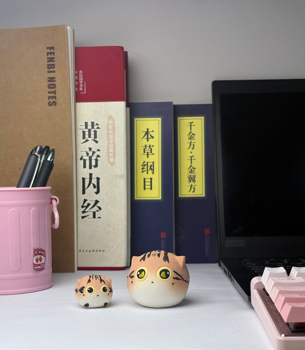 Mini Tabby（Lucy）