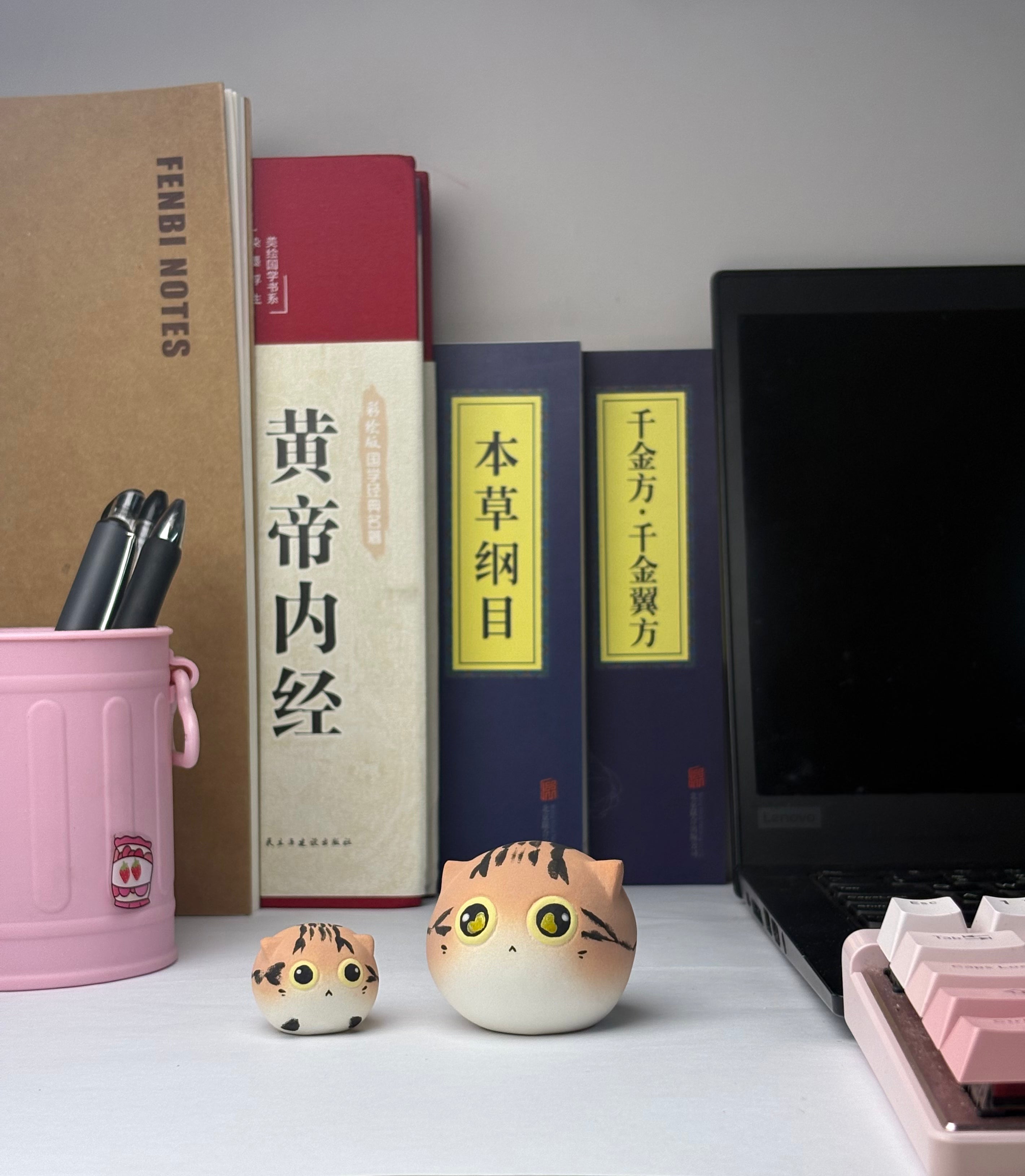 Mini Tabby（Lucy）