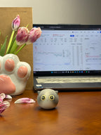 Small Blue & White Cat