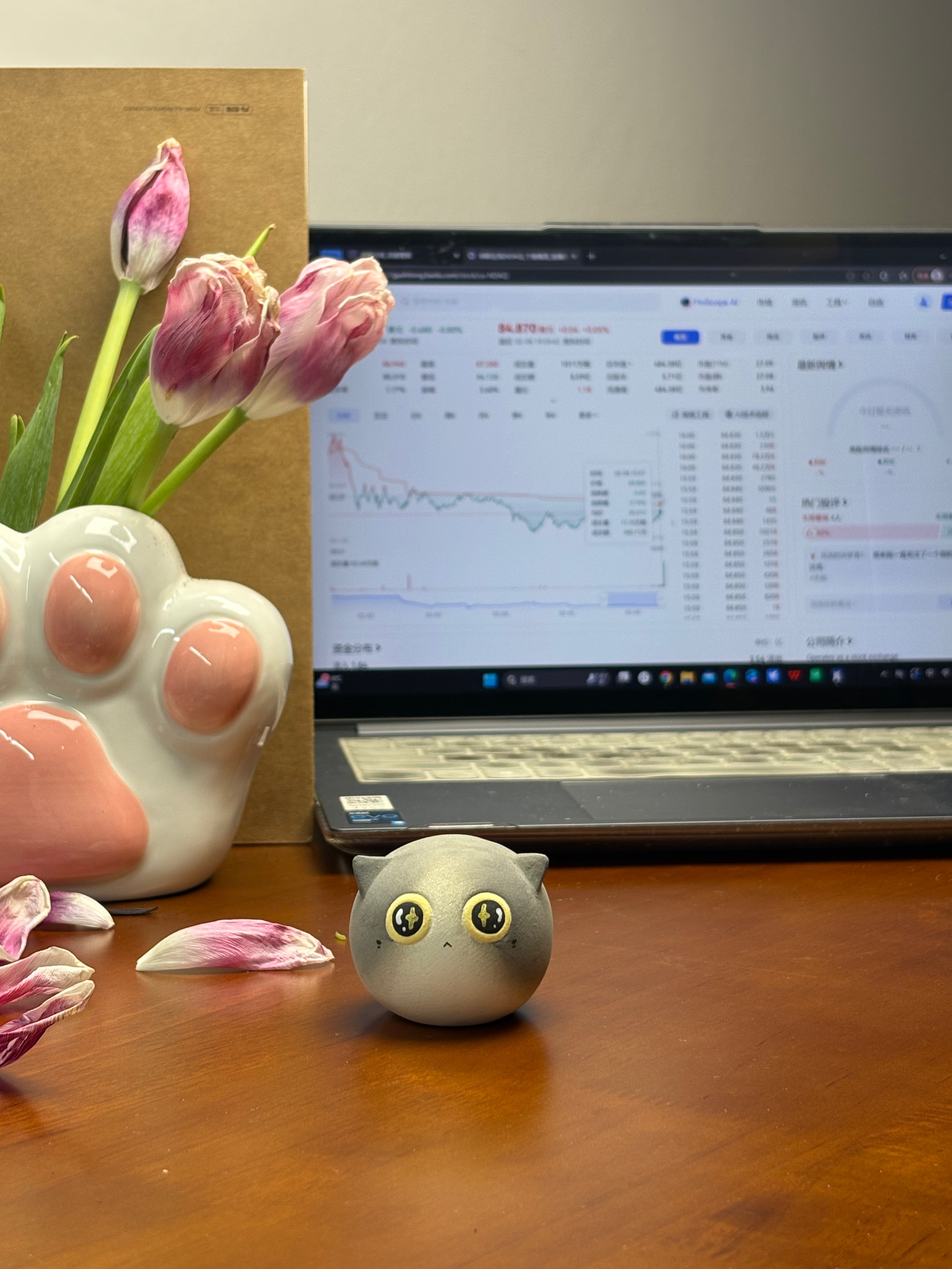 Small Blue & White Cat