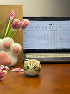 Medium Jianzhou Cat Cat