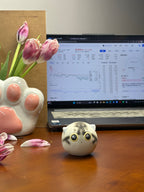 Medium Silver Bengal Cat