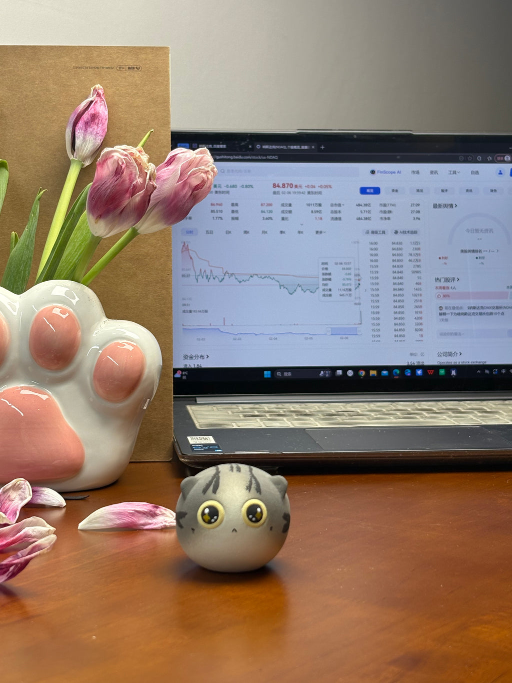 Small Cheese Cat（ Cream）