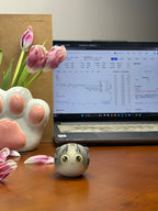 Small Cheese Cat（ Cream）