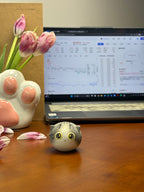 Small Cheese Cat（Sunny）