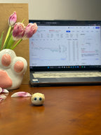 Mini Ragdoll（Chloe）