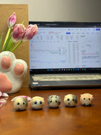 Mini Calico Cat（Bella）