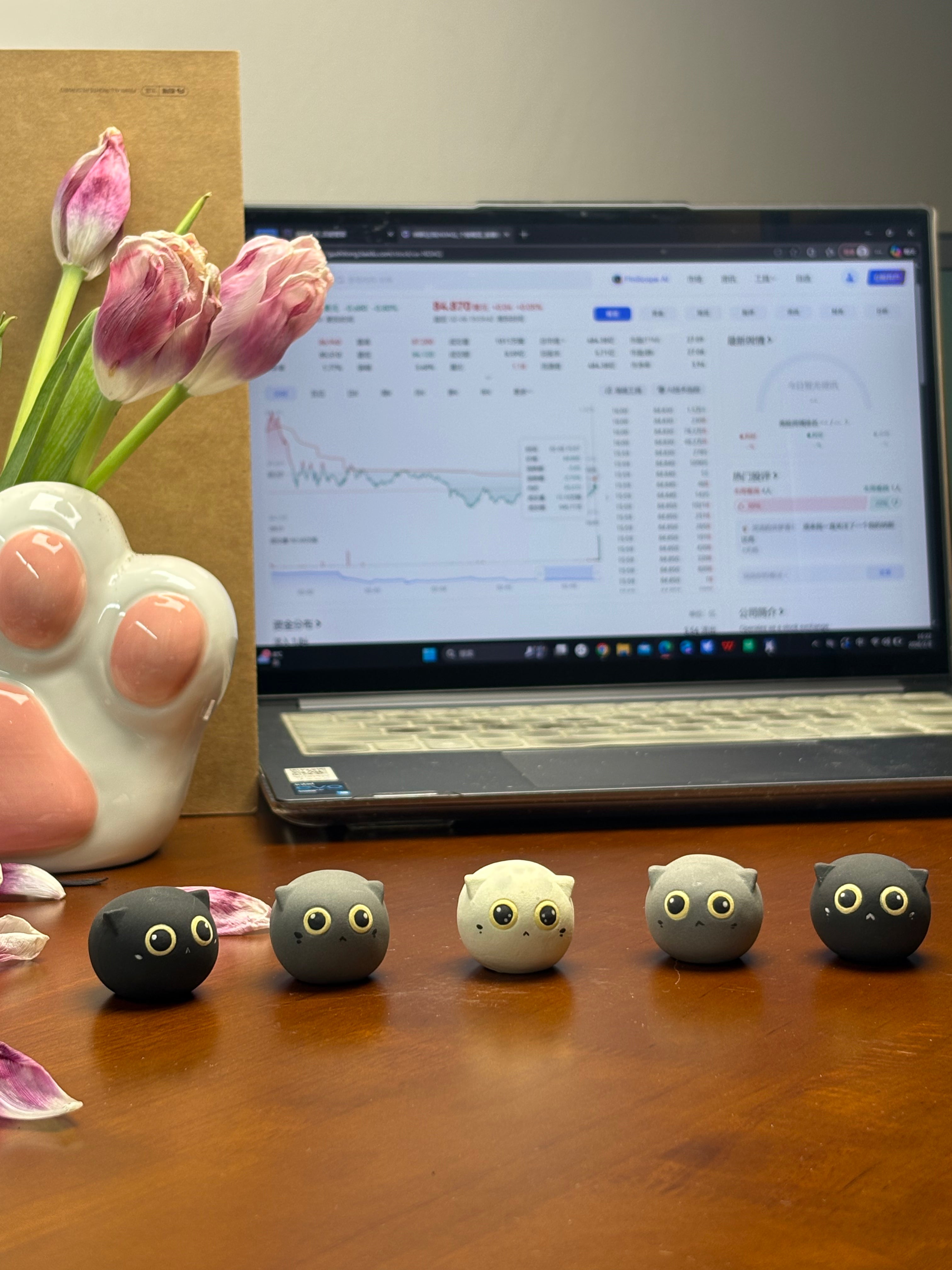 Mini Silver Shaded Cat（Misty）