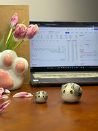 Mini Dragon Li Cat(Milo)