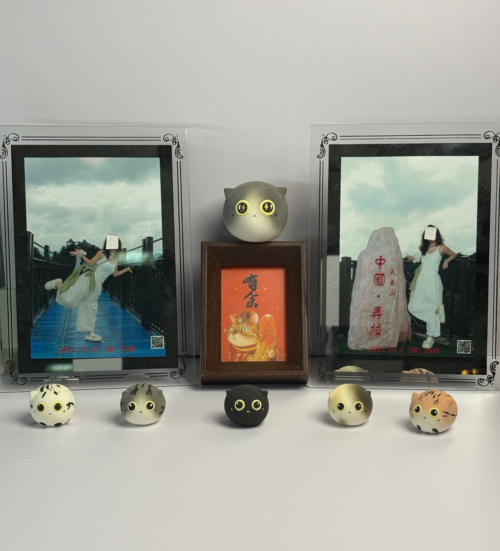 Mini Cheese Cat(Oliver）