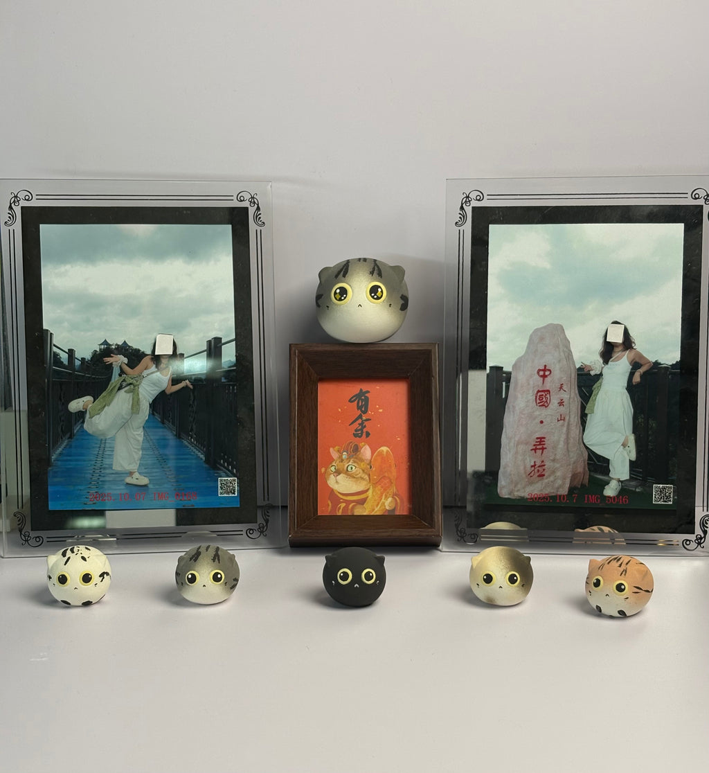 Small Blue & White Cat