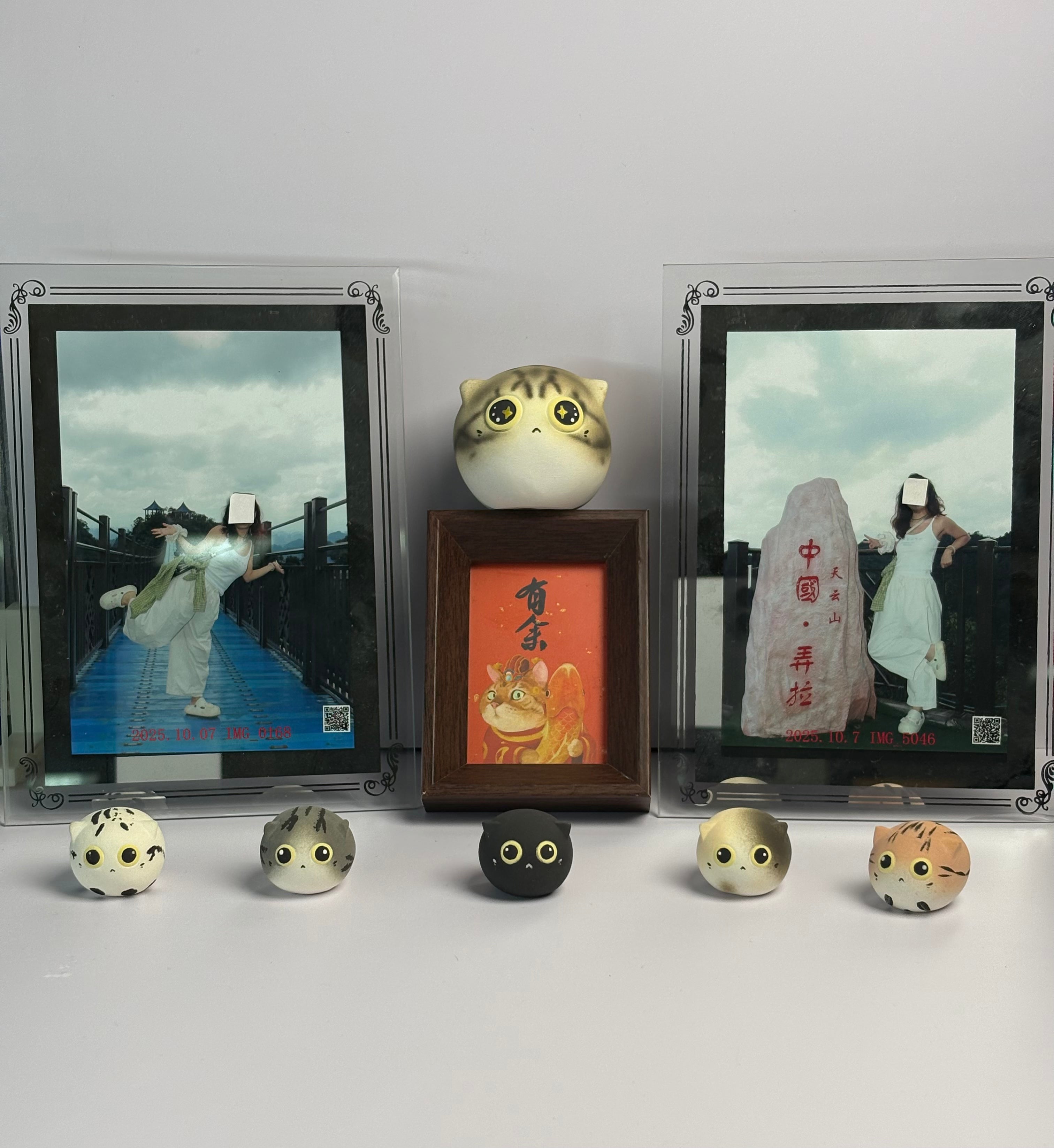 Medium Jianzhou Cat Cat