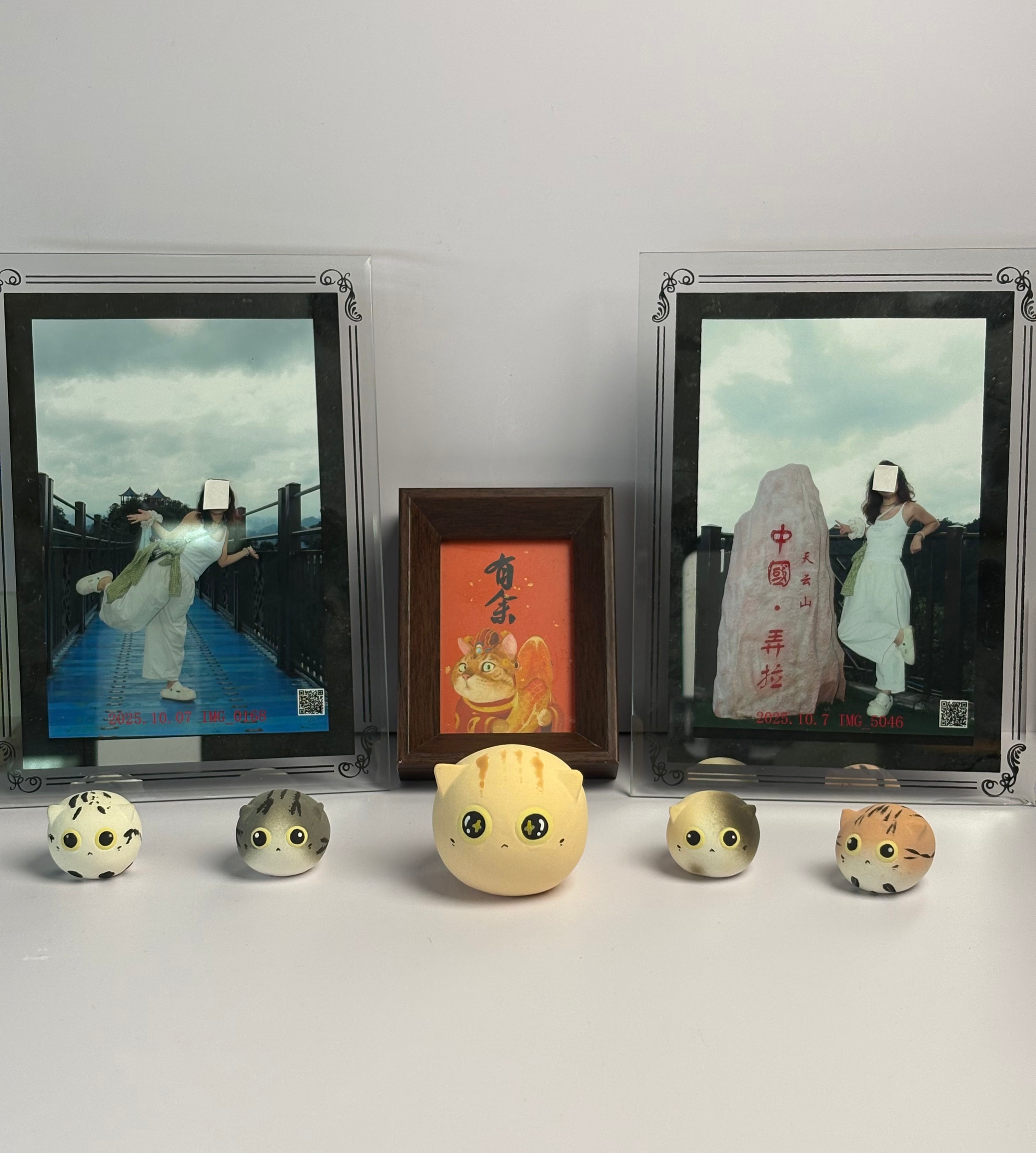 Small Golden Shaded Cat