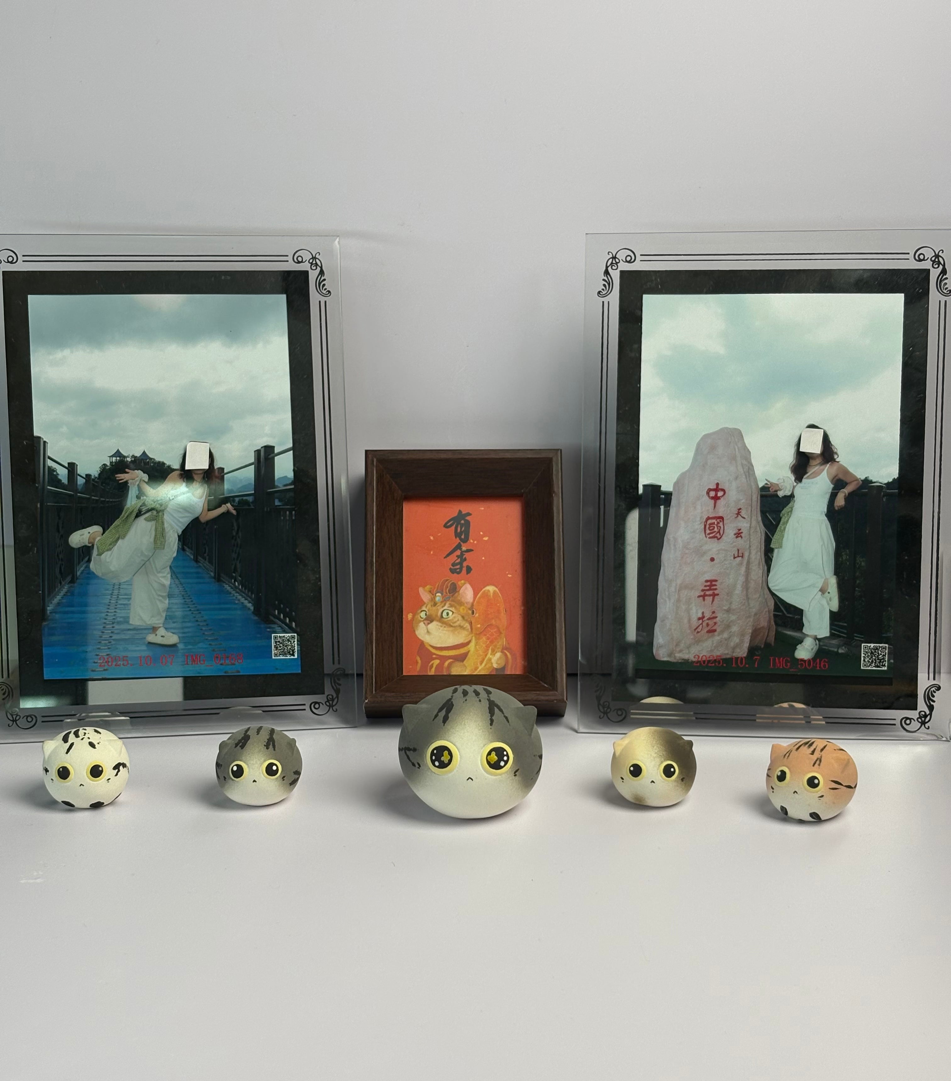 Small Cheese Cat（Sunny）