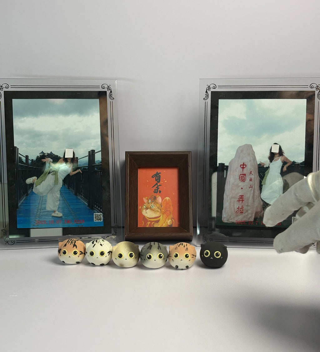 Mini Tabby（Lucy）