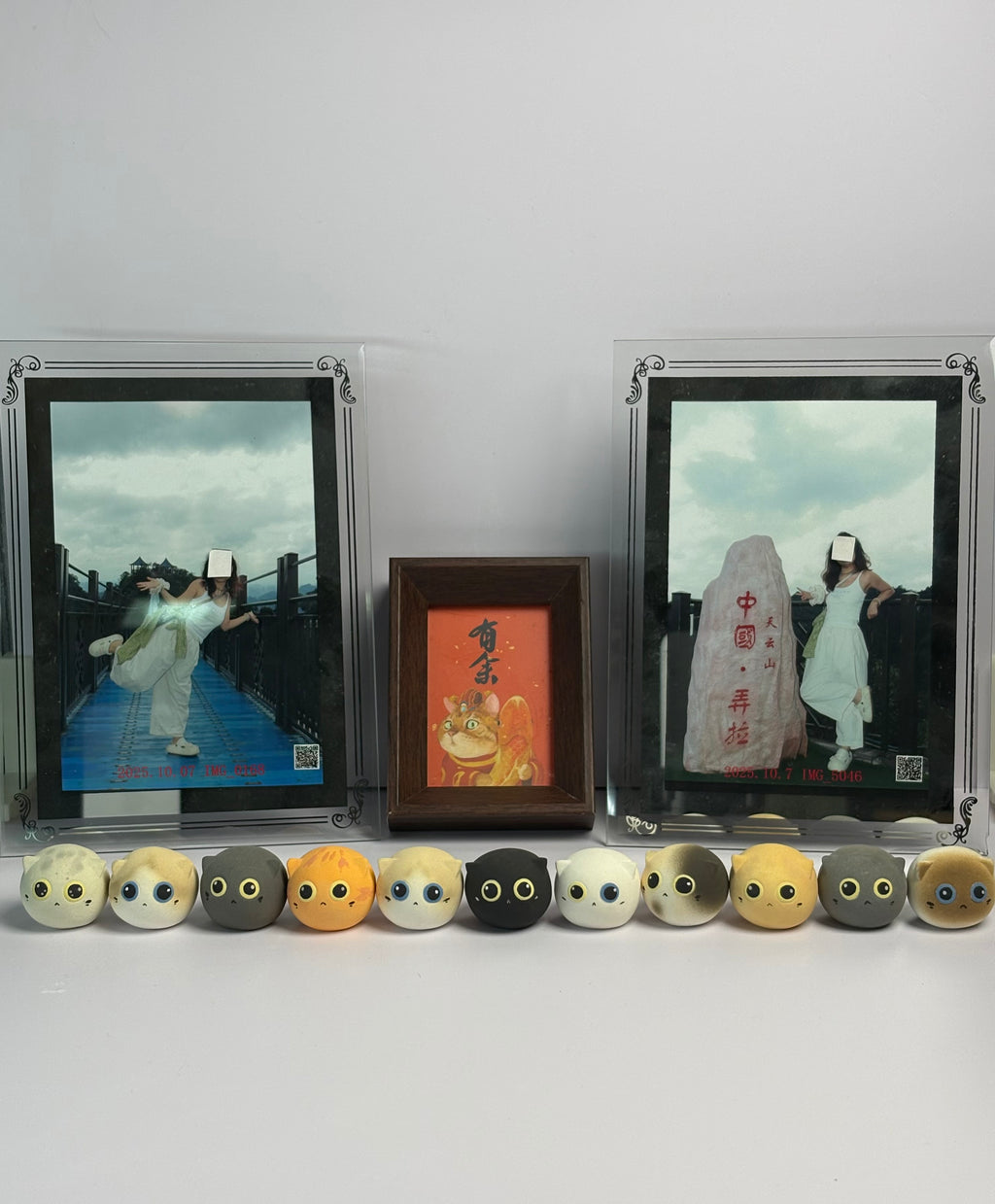 Mini Silver Shaded Cat（Misty）