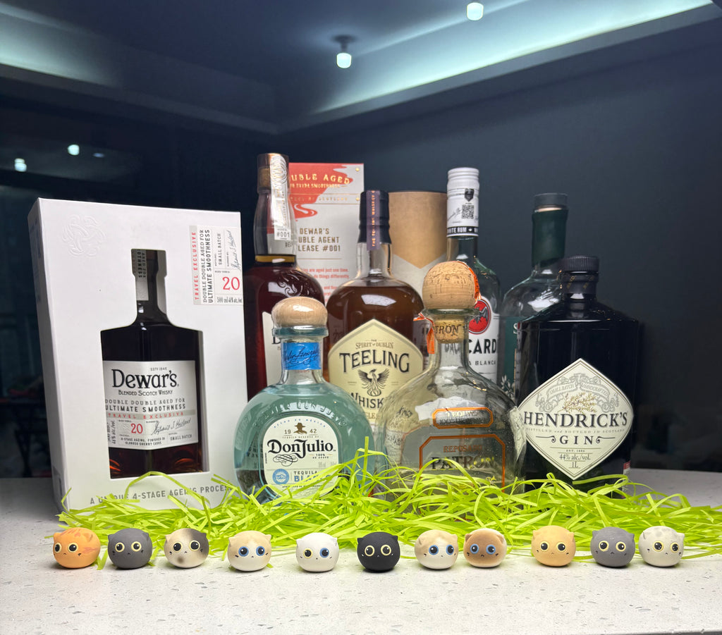 Mini Ragdoll（Chloe）